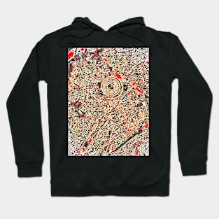 Fish Eye Path Hoodie